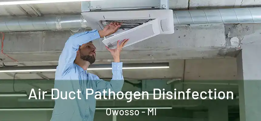  Air Duct Pathogen Disinfection Owosso - MI