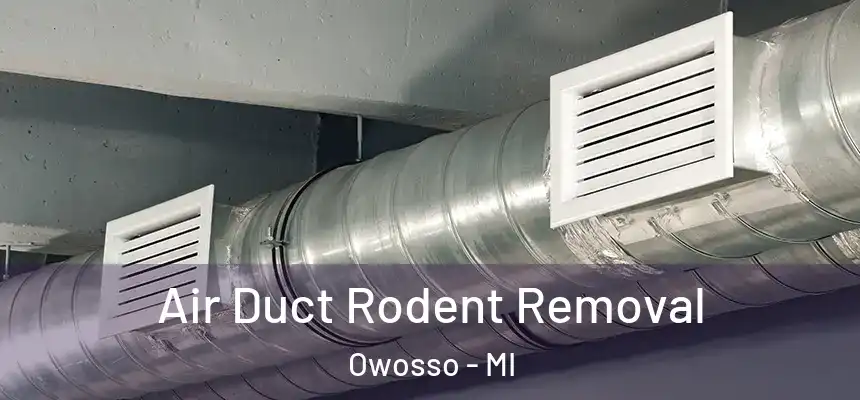  Air Duct Rodent Removal Owosso - MI