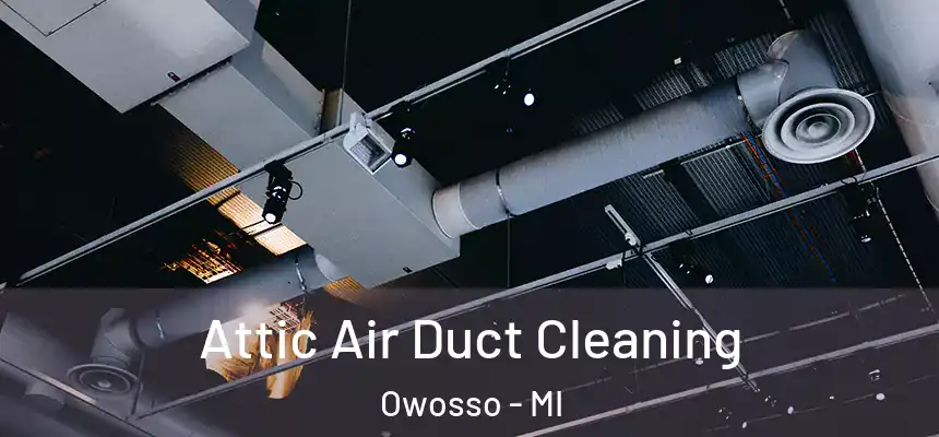  Attic Air Duct Cleaning Owosso - MI