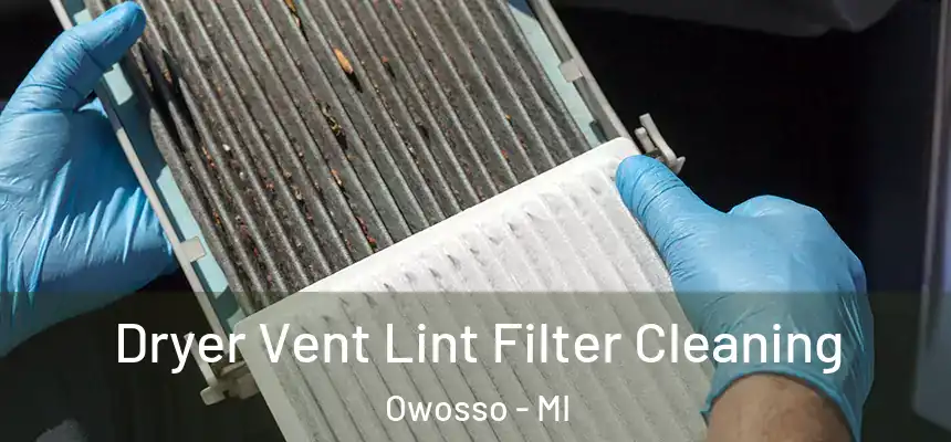  Dryer Vent Lint Filter Cleaning Owosso - MI