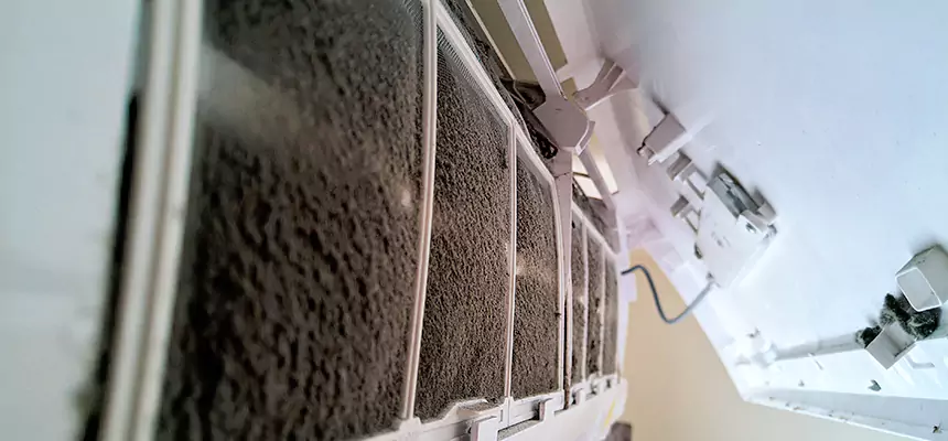 Preventive Air Duct Bacteria Removal in Owosso