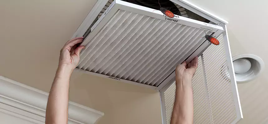 Preventive Cockroach-Proofing for Ducts in Owosso