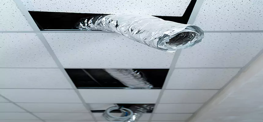 Our Air Duct Pet Hair Removal Services in Owosso, MI