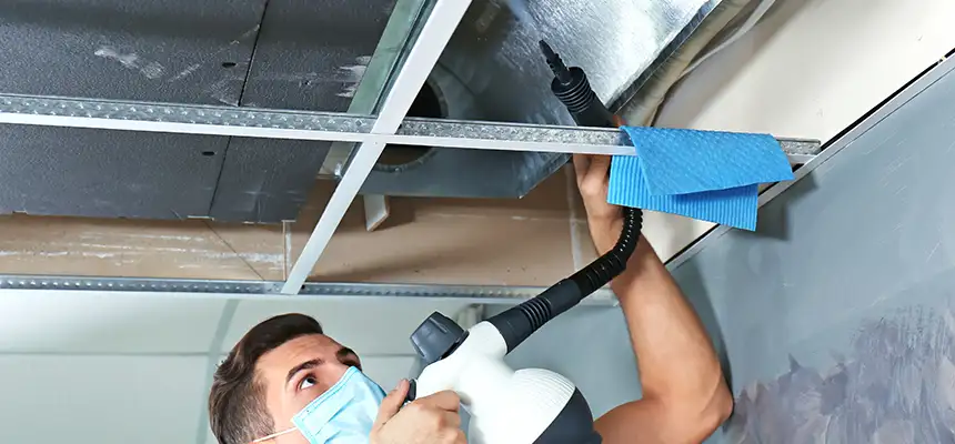 Our Air Duct Rodent Removal Services in Owosso, MI