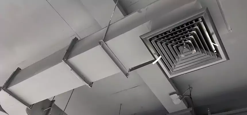 Restorative Allergy Relief Vent Cleaning – Coil, Blower & Housing Detail in Owosso