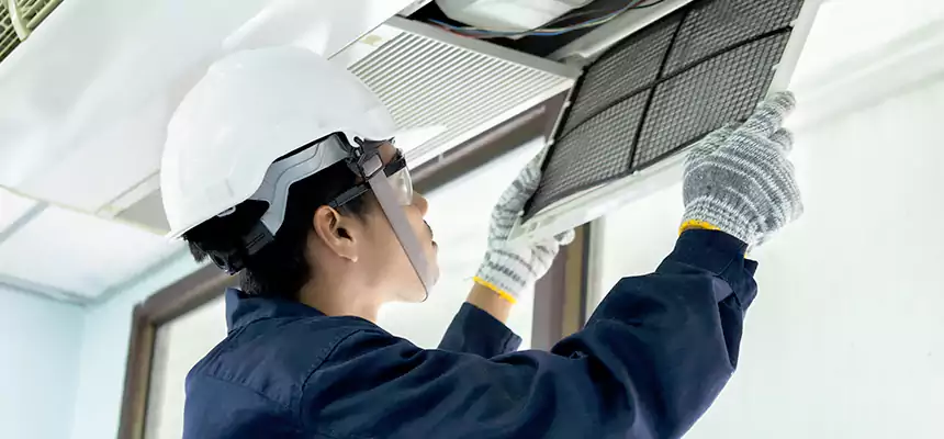 Our Mold & Mildew Removal from Air Ducts Services in Owosso, MI