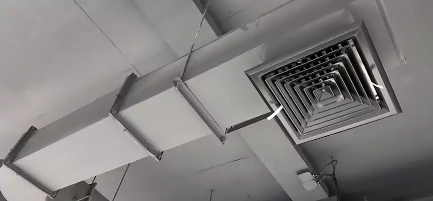 Our Pest Removal From Ducts Services in Owosso, MI