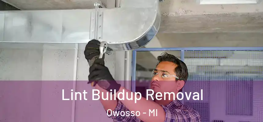  Lint Buildup Removal Owosso - MI