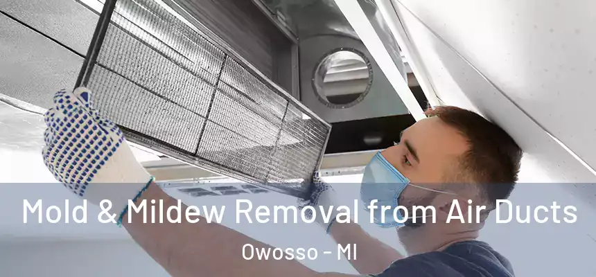  Mold & Mildew Removal from Air Ducts Owosso - MI