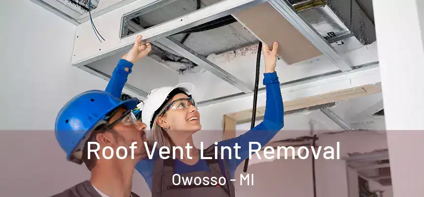  Roof Vent Lint Removal Owosso - MI
