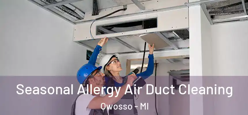  Seasonal Allergy Air Duct Cleaning Owosso - MI