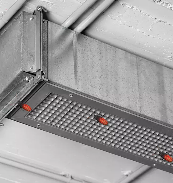 About Air Duct Cockroach Removal in Owosso, MI