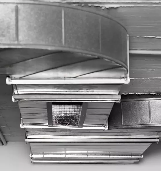 Professional Air Duct Pest Removal in Owosso, MI