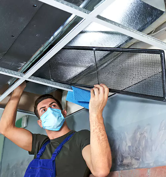 Professional Air Duct Pollen Cleaning in Owosso, MI
