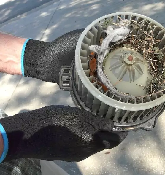 About Air Duct Rat Removal in Owosso, MI