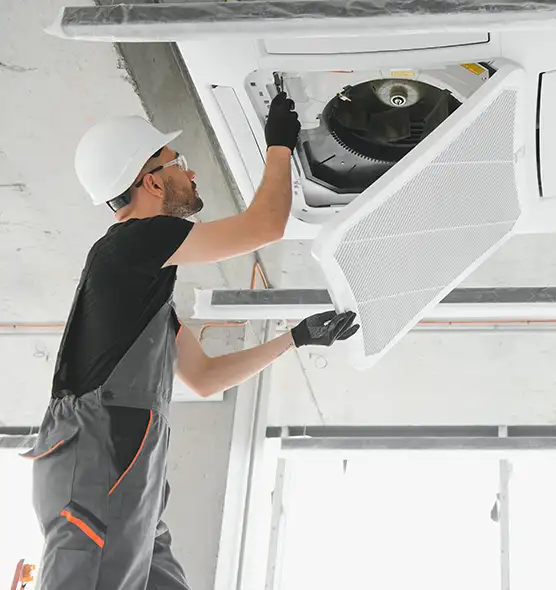 About Air Duct Rodent Removal in Owosso, MI