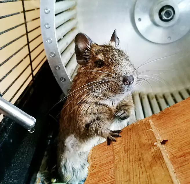 Why Homeowners & Businesses Trust Us Owosso, MI?