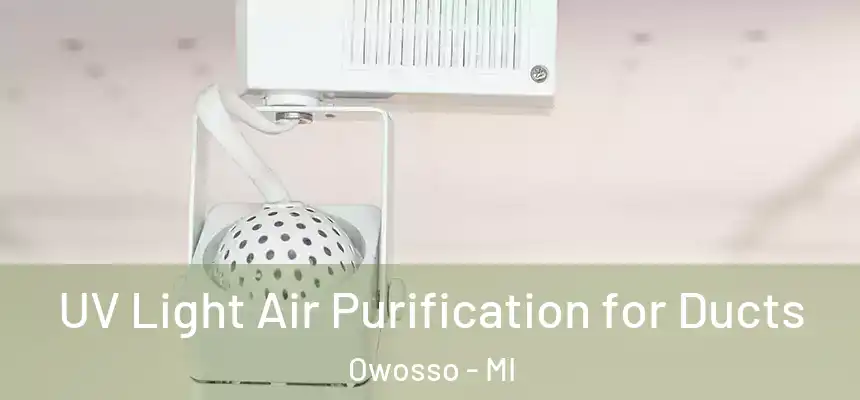  UV Light Air Purification for Ducts Owosso - MI
