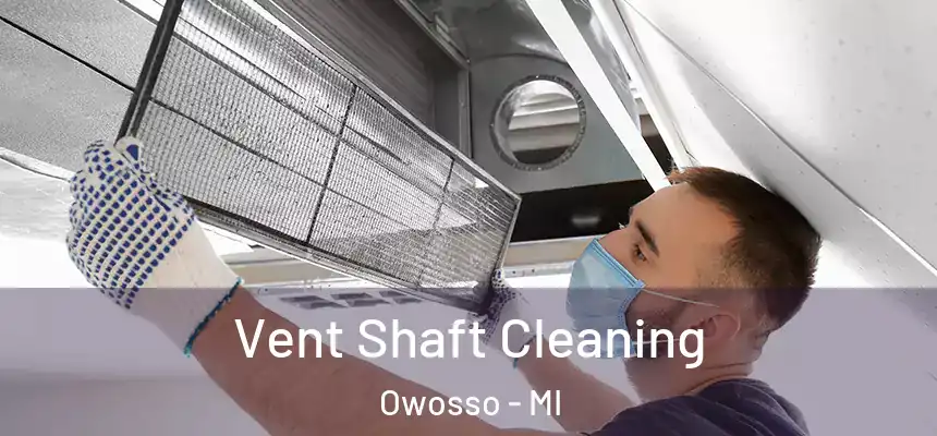  Vent Shaft Cleaning Owosso - MI