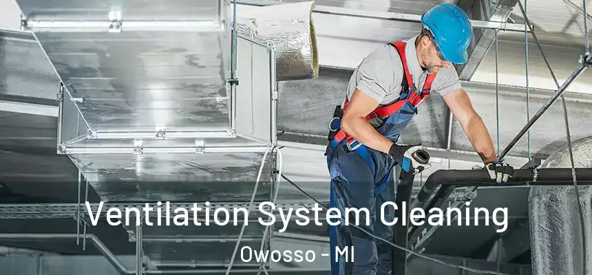  Ventilation System Cleaning Owosso - MI
