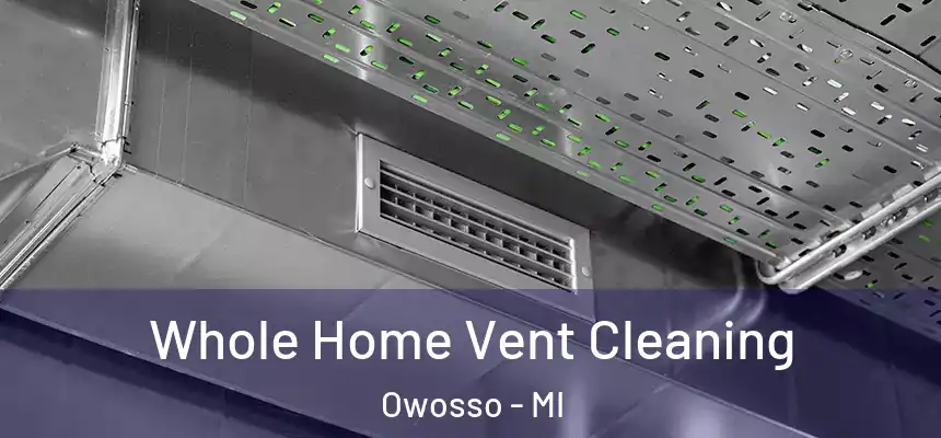  Whole Home Vent Cleaning Owosso - MI